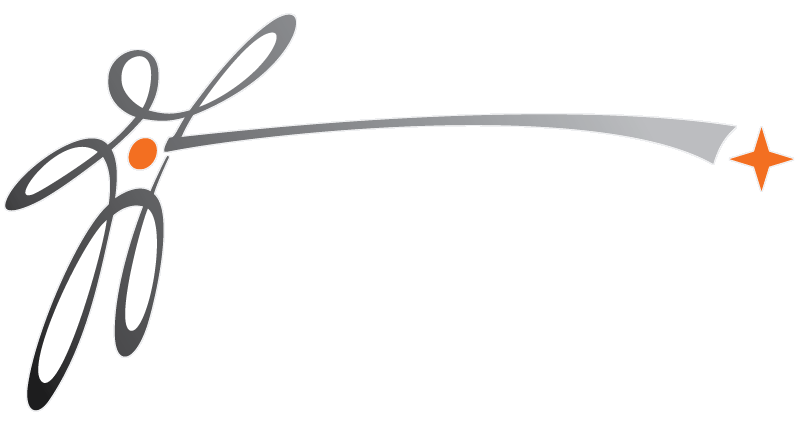 Logo do LAPAN